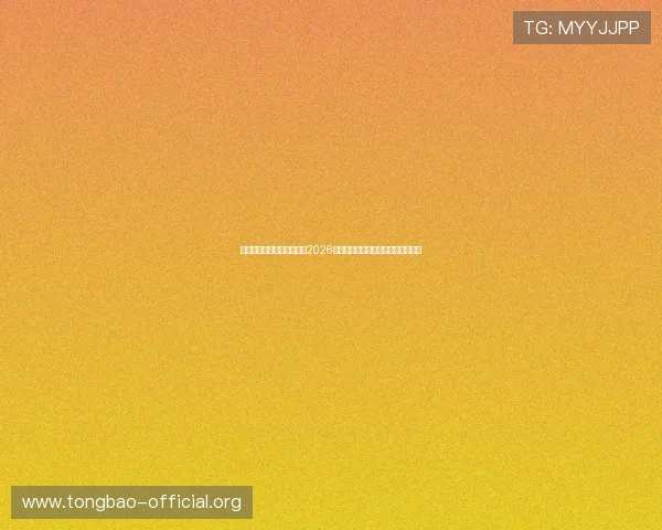 梦幻城娱乐网为足球迷呈现2026年世界杯现场氛围与观赛指南全攻略